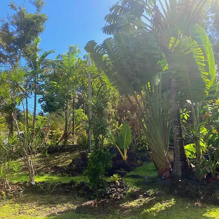Seaside House And Aloha Bungalow Pahoa Exterior photo