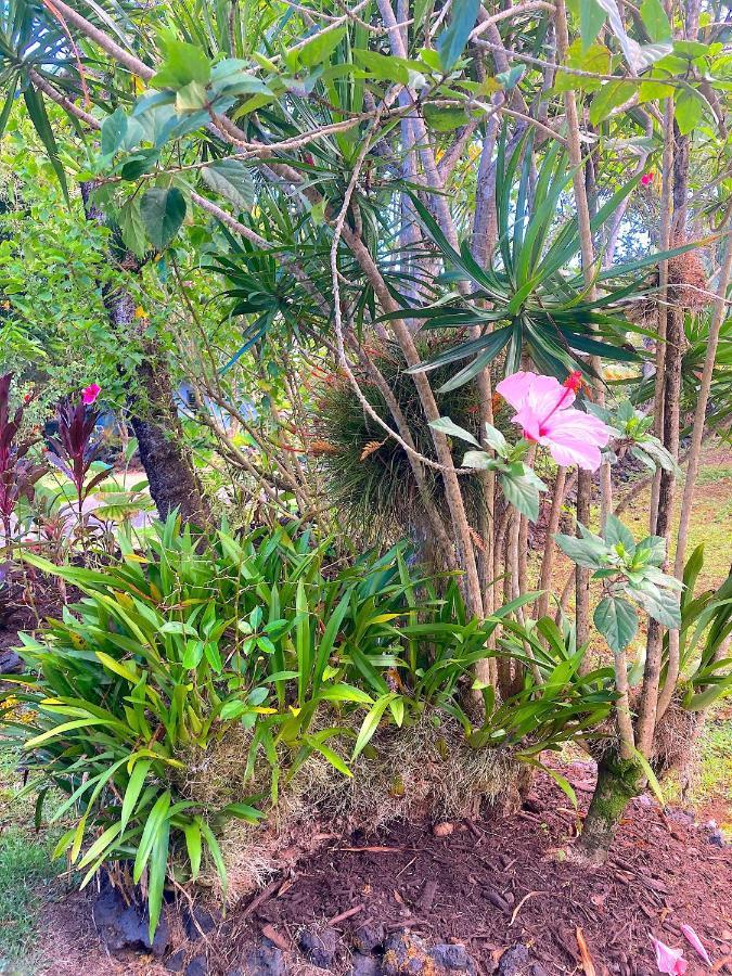 Apartamento Seaside House And Aloha Pahoa